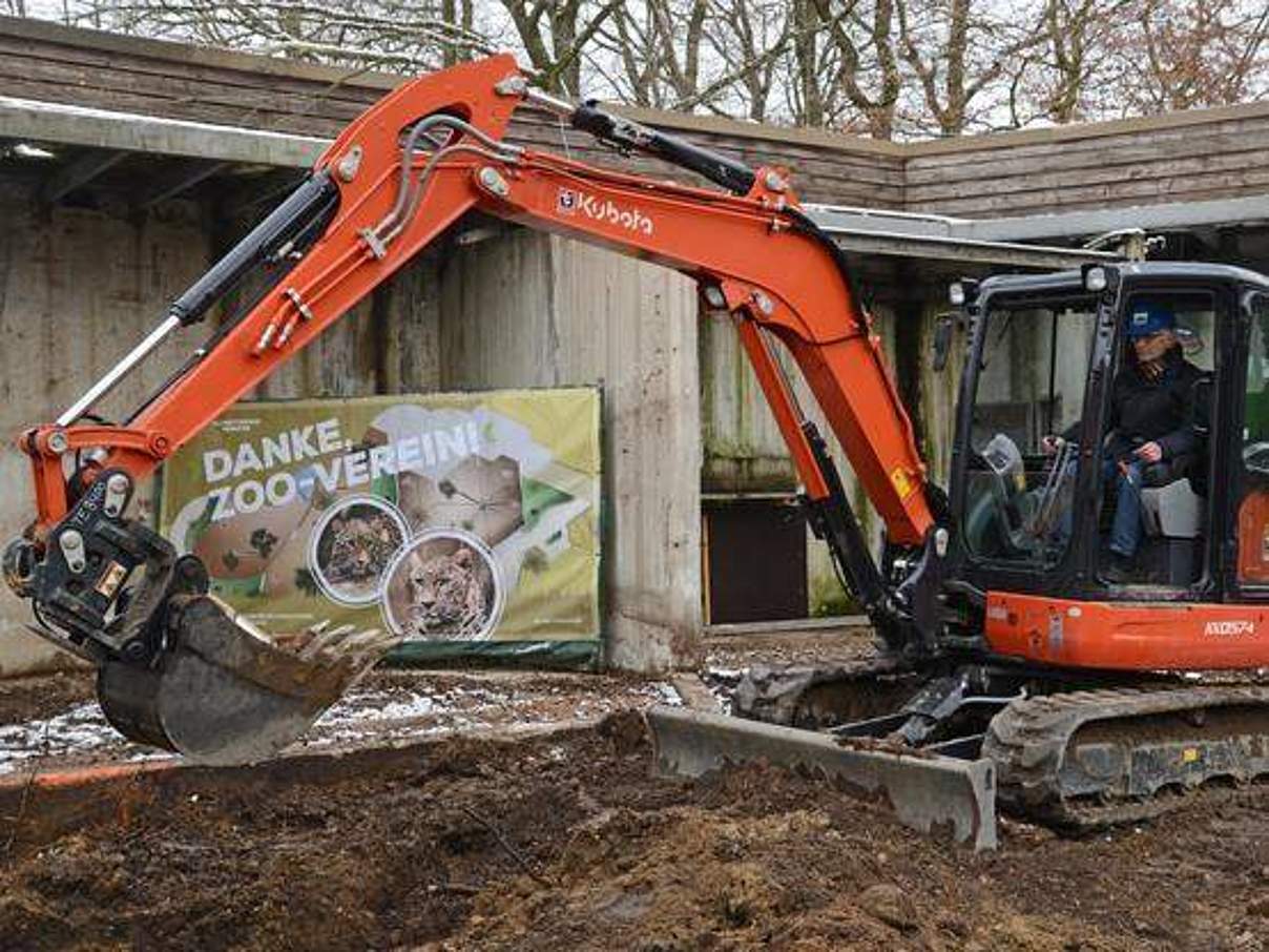 Leoparden Baustelle im Allwetterzoo Münster © Allwetterzoo Münster Leoparden Baustelle im Allwetterzoo Münster © Allwetterzoo Münster