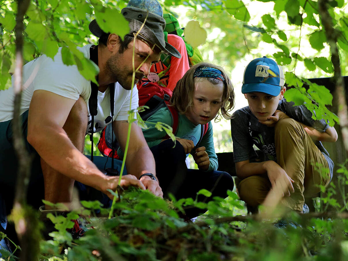 Familie in der Natur © Ronja Bachhofer / WWF