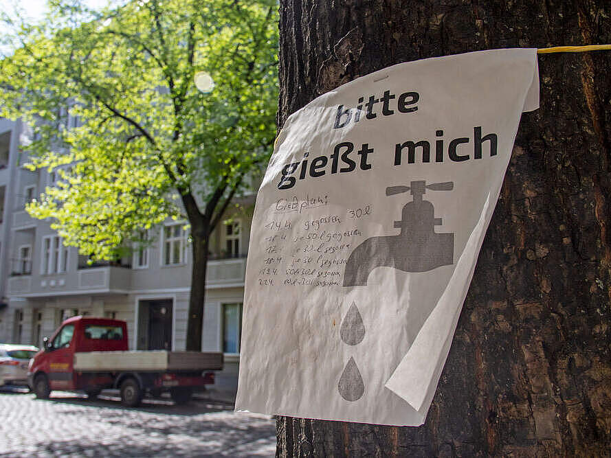An einem Baum in der Stadt ist ein Schild befestigt mit der Aufschrift: "Bitte gießt mich". © Anja Bertuch / WWF