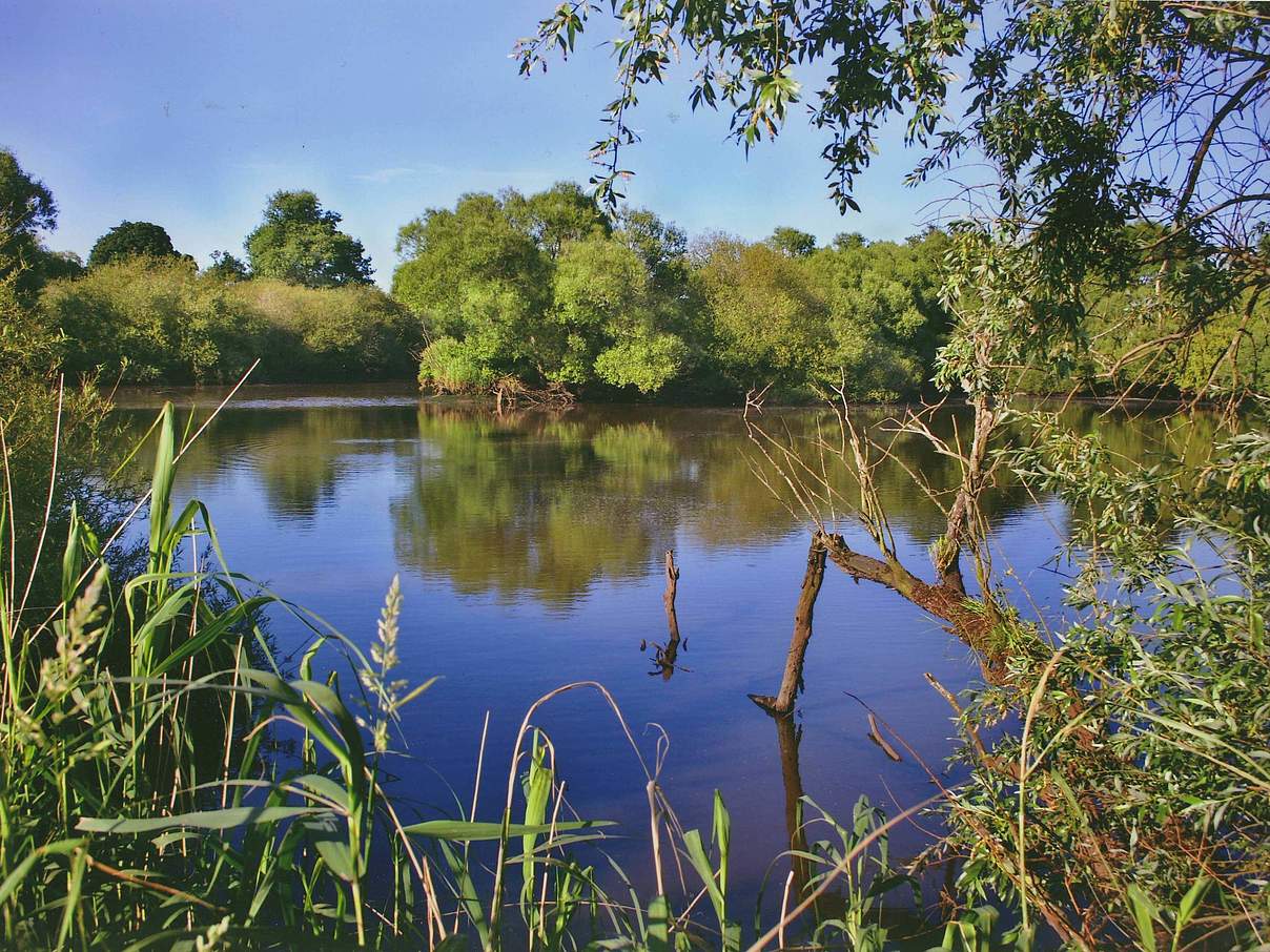 Wümme-Landschaft © W. Schlechtweg Wümme-Landschaft © W. Schlechtweg