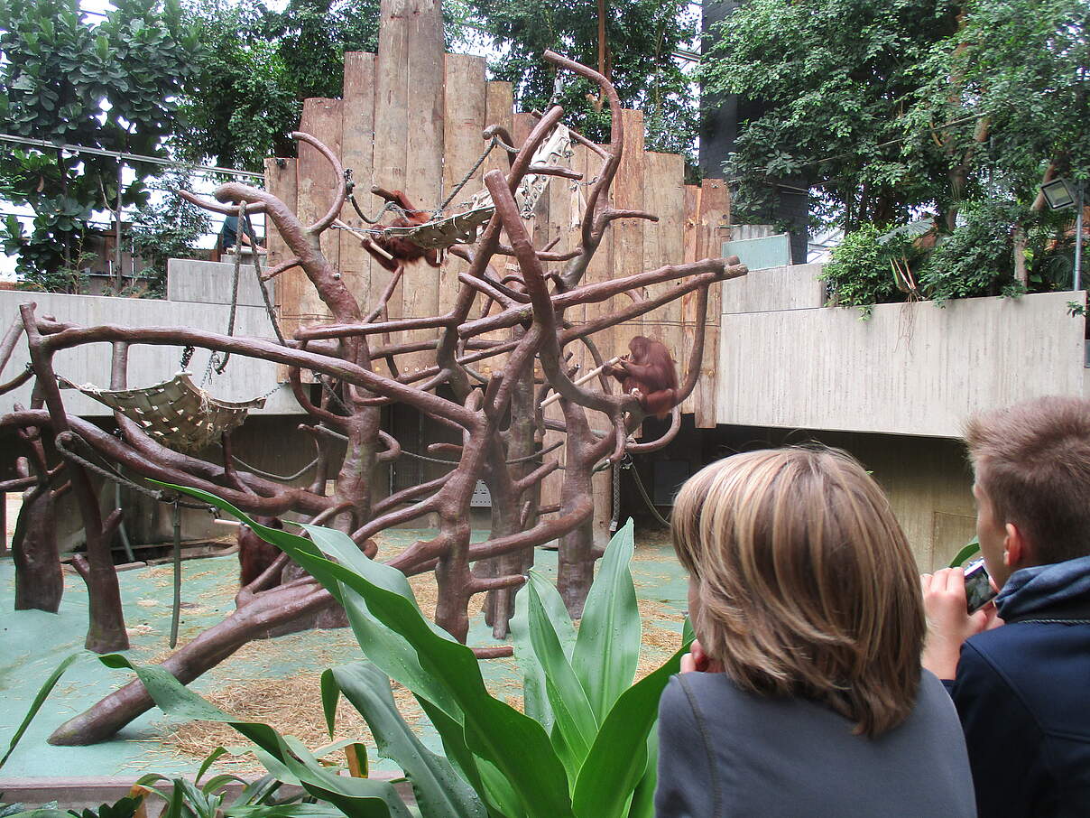 Zu Besuch im Krefelder Zoo © Anke Huesges / WWF Zu Besuch im Krefelder Zoo © Anke Huesges / WWF