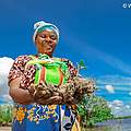 Mangroven Setzling © WWF Kenia