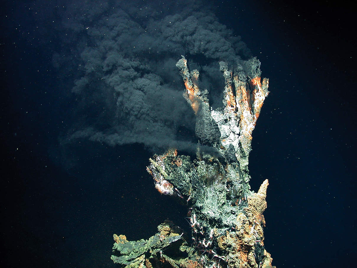 Ein schwarzer Raucher im Logatchev Hydrothermalfeld am Mittelatlantischen Rücken © MARUM / Zentrum für Marine Umweltwissenschaften / CC BY4.0 Ein schwarzer Raucher im Logatchev Hydrothermalfeld am Mittelatlantischen Rücken © MARUM / Zentrum für Marine Umweltwissenschaften / CC BY4.0