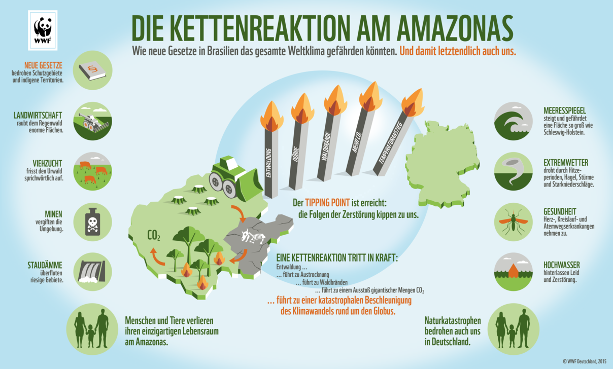 Die Kettenreaktion am Amazonas Infografik