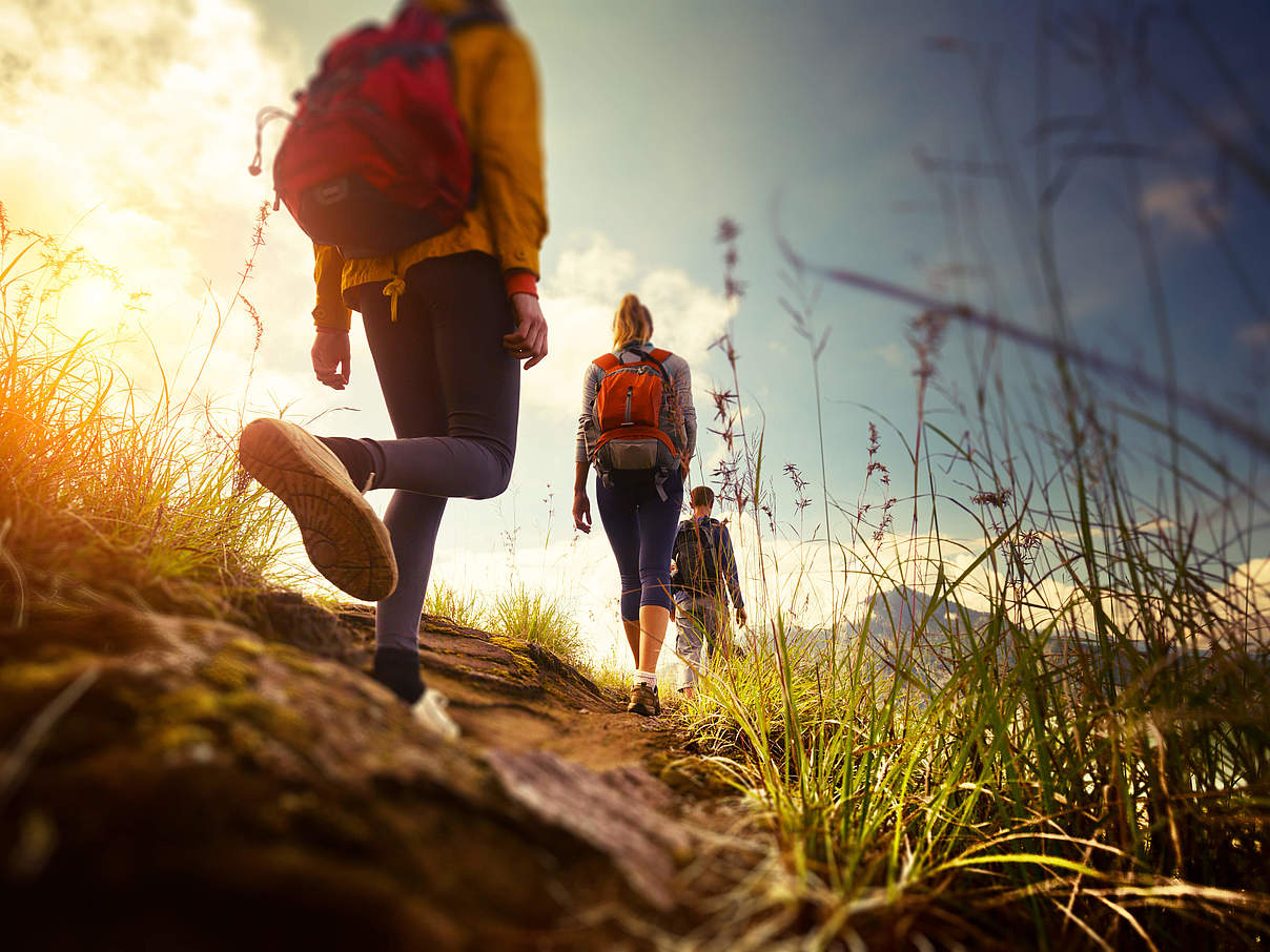 Wandern in der Natur © Shutterstock / Dudarev Mikhail / WWF Wandern in der Natur © Shutterstock / Dudarev Mikhail / WWF